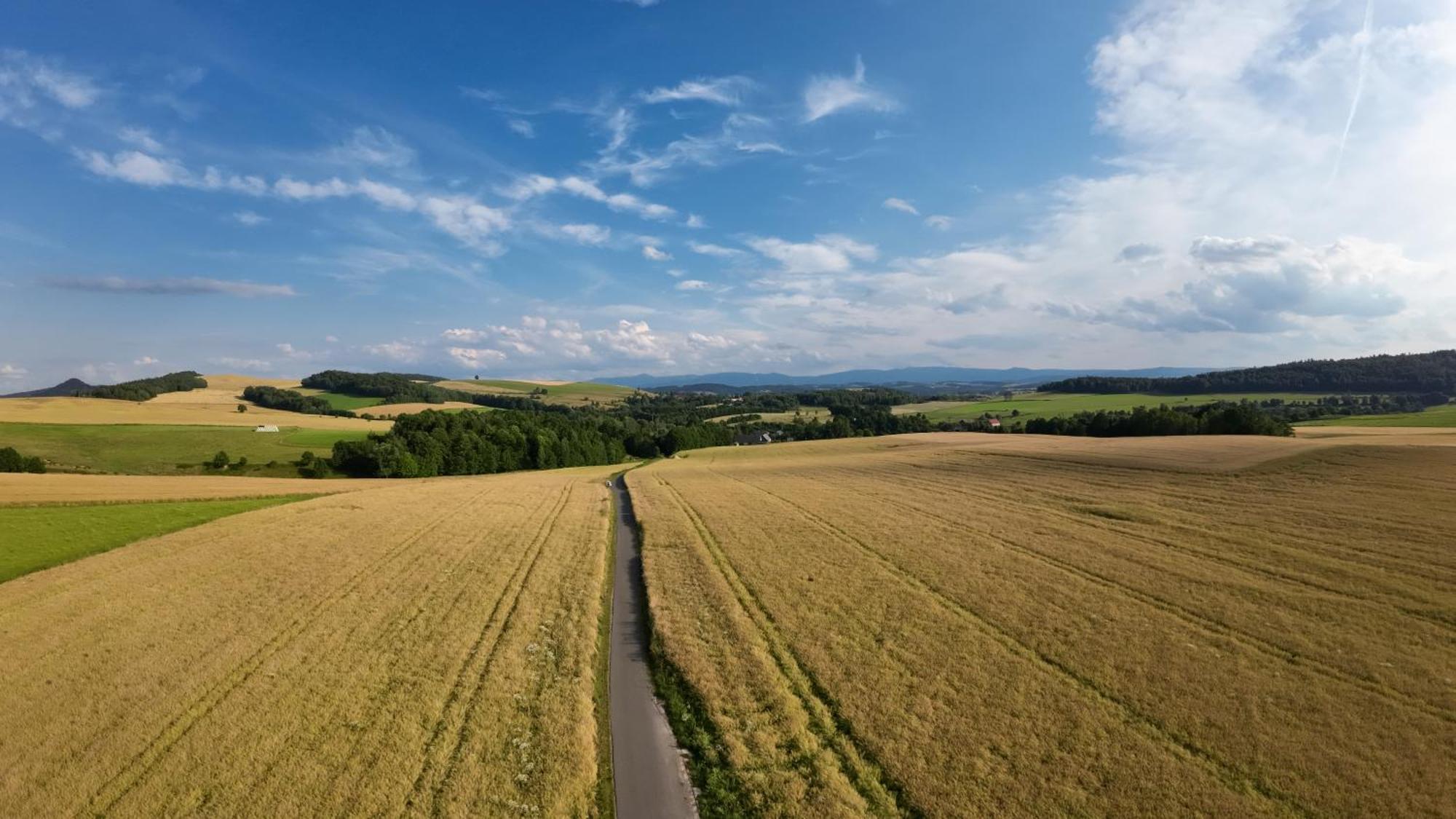Agroturystyka Brzozowe Wzgorze Wlen Eksteriør billede
